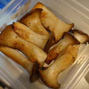 925971の作ってみた!投稿(【驚くほどジューシー】エリンギのステーキ)