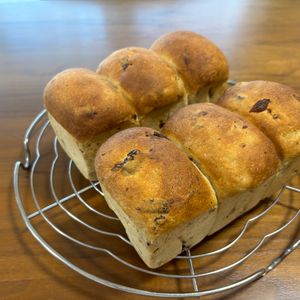こむぎの作ってみた!投稿(レーズンミニ食パン。)