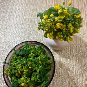 楽ラク手抜キッチン🐶🐾の作ってみた!投稿(料理に添えれば春の装い！菜の花の塩茹で)
