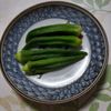 KUMIKOの作ってみた!投稿(食べだしたら止まらない!ごま油香る♡オクラの旨だしレモン漬け)