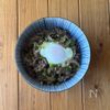 卵もワンパン！【黄金比☆旨つゆ牛丼】10分で完成♩の工程5