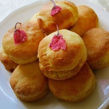 春爛漫!玄米粉スコーン(桜餡添え)