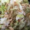 ♡♥♡くーまん♡♥♡の作ってみた!投稿(食べたら止まらない!切り干し大根とレタス・ツナのサラダ)