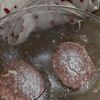 【肉汁溢れる！】塩麹deチーズバーガー　の工程1