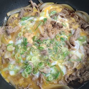 なべ円の作ってみた!投稿(他人丼の上「他人煮」)