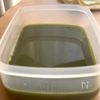 【寒天はレンジで♪】実りの秋の抹茶寒天あんみつの工程1