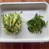 疲労回復に【もやしときゅうりの和え物】の工程2