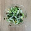 レンチン4分《白菜とわかめ♡旨だれナムル》の工程2