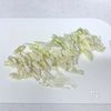 春キャベツとちくわの塩麹レモンマヨ和えの工程1