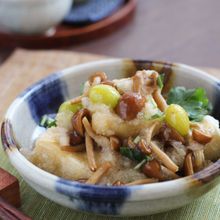 揚げ出し高野豆腐のなめこおろし