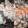 秋のほっこり【根菜ごろっと豚汁】の工程1