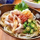 つるっとひんやり！暑い日の救世主「冷やしうどん」3選｜編集部おすすめレシピ