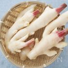 旬到来！みずみずしくて柔らかい♪「新生姜」を味わい尽くすおすすめレシピ