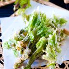 【天ぷら粉なくて自家製天ぷら粉】薄力粉でカリッと山菜の天ぷら
