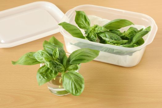 バジルの保存方法 野菜の保存方法 料理の基礎 レシピサイトnadia