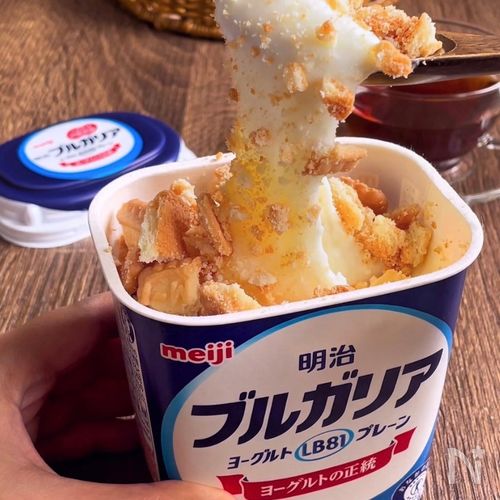 もっちりのび〜る新食感「ヨーグルトのレアチーズケーキ風」
