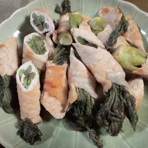 582194の作ってみた!投稿(春の山菜 タラの芽で簡単肉巻き)