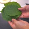 大葉の米粉ティギム(韓国風天ぷら)の下準備