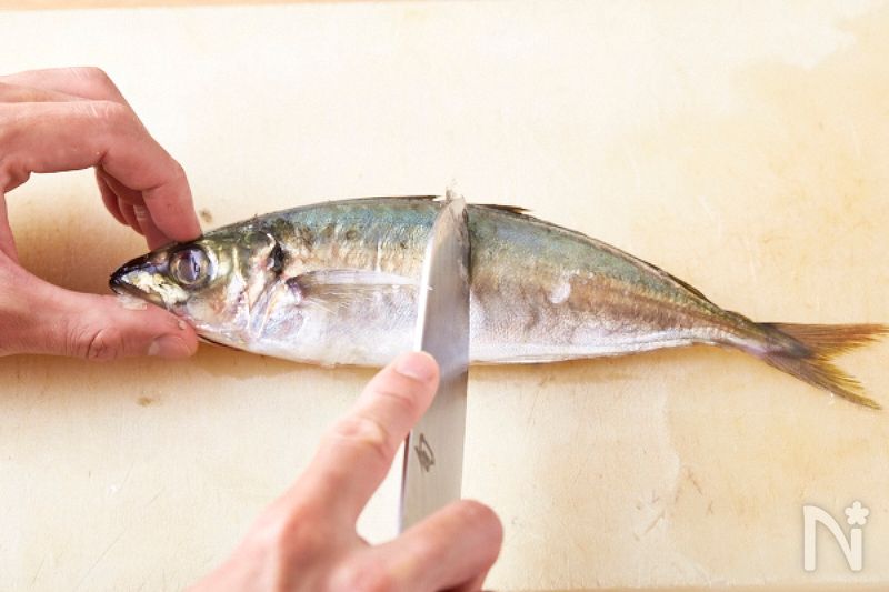 あじ のさばき方の基本 下処理の手順とコツ レシピサイト Nadia ナディア プロの料理家のおいしいレシピ