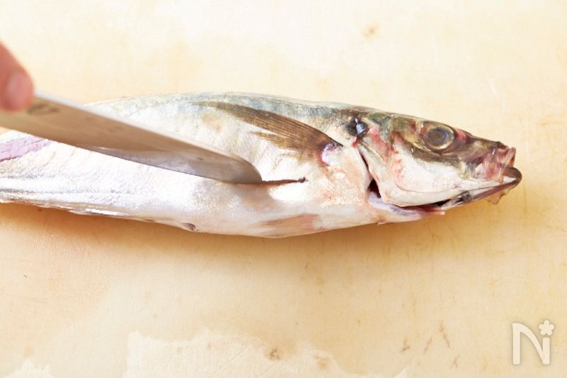 あじ のさばき方の基本 下処理の手順とコツ レシピサイト Nadia ナディア プロの料理家のおいしいレシピ