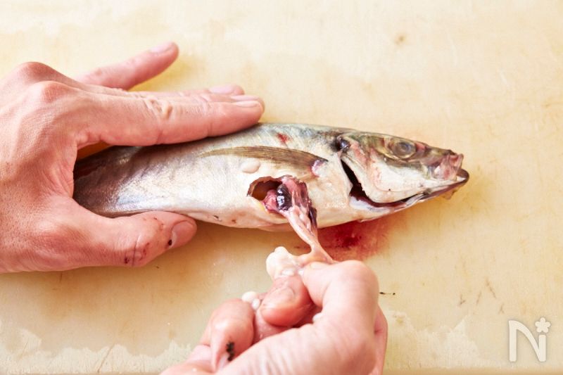 あじ のさばき方の基本 下処理の手順とコツ レシピサイト Nadia ナディア プロの料理家のおいしいレシピ