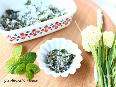 簡単 便利 ベランダハーブの育て方 レシピ レシピサイト Nadia ナディア プロの料理家のおいしいレシピ