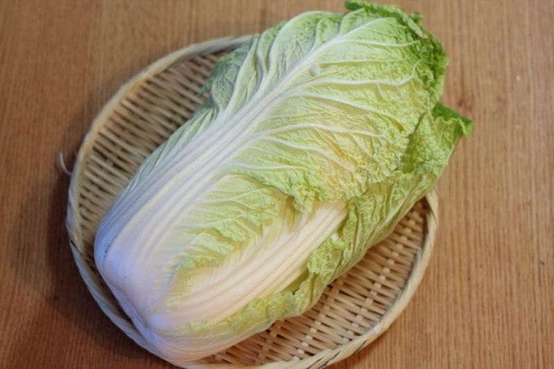 巻かないロール白菜】重ねて煮込むだけ！ミルフィーユ白菜  レシピ 